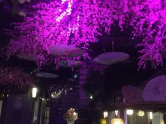 -韵秋荷(宝山龙湖天街店)