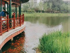 -西海子公园