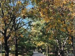 -森林公园(尖草坪区)