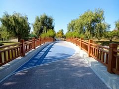 -羊亭河湿地公园