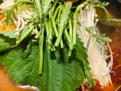 -韩香福脊骨汤锅(上杭路店)