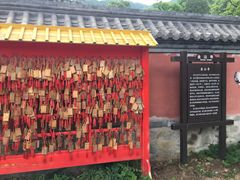 -阳台山自然风景区