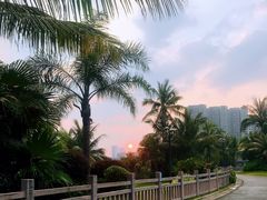 -碧桂园十里银滩