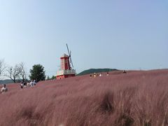 -羊亭河湿地公园