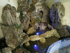 景观位-重庆幺妹乖火锅(永川旗舰店)