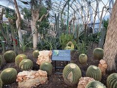 -北京植物园-展览温室