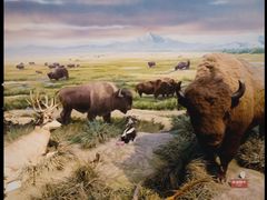 -陕西自然博物馆