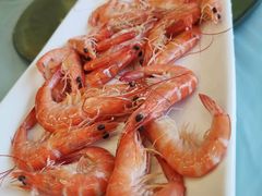 水煮海白虾-金海湾海鲜排档(朱家尖店)