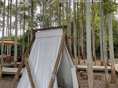 -桉树林A coffee 森林餐厅(三圣乡店)