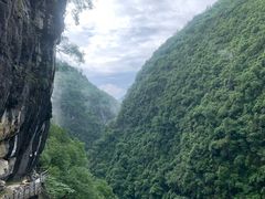 -蝶舞清江·恩施地心谷景区