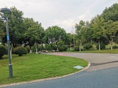 -贡湖湾湿地公园