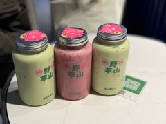 -野萃山·潮汕厚果汁(十亩地店)