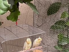 -上海大自然野生昆虫馆