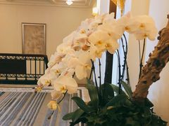 -上海和平饭店华懋阁 Cathay Room