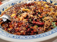 -新概念来凤鱼(璧山店)