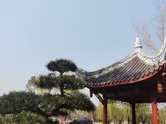 -北湖公园