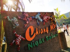 -清迈夜间动物园