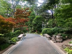 -人民公园-相亲角