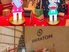 -广州奥园喜来登酒店