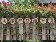 -诗经里