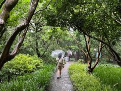 -上海醉白池公园