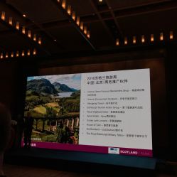 -北京瑰丽酒店·宴会厅·婚宴·会展