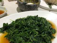 -蝶园·装修中(BFC外滩金融中心店)