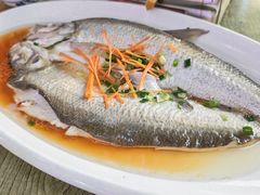 -丹水桥地锅鱼·翘嘴鲌·地方特色全鱼宴(丹江口大坝店)