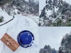 -龙苍沟森林公园