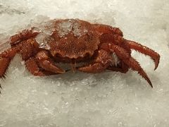 -盒马鲜生(悦峰店)
