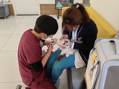 -美联众合动物医院·24h京西诊疗中心
