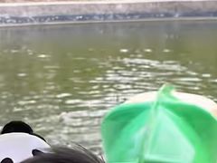 -黑龙江省森林植物园