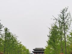 -蒋家桥饺面店(四望亭路店)