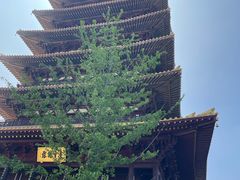 -牛首山文化旅游区