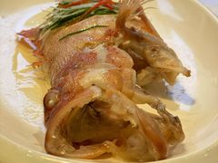 -九朝会昆曲·宴(望京店)