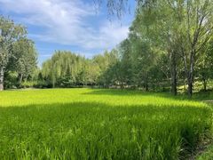 -北坞公园
