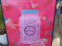 -野萃山·潮汕厚果汁(十亩地店)