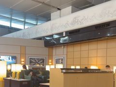 -英迪拉·甘地国际机场