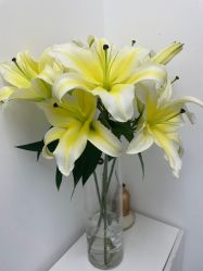 -安那般那皮肤年轻化ANAPANA