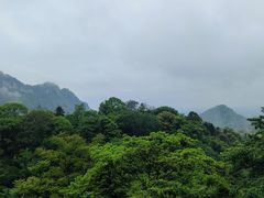 -青城山