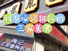 -陶记正宗德州扒鸡(科巷店)