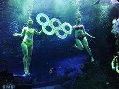 -华夏文旅海洋公园