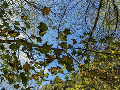 -叠溪松坪沟景区