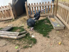 -鄂尔多斯野生动物园