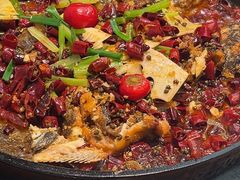 -老板恋上鱼(印象城店)