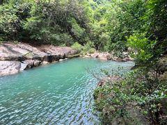 -广州白江湖森林公园