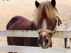 -酷鱼垂钓CLUB(朝阳区博大路店 )