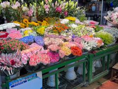 -朝来春花卉市场