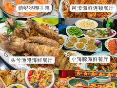 -亚龙湾热带天堂森林公园