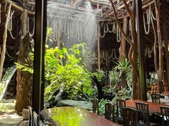 -绿光森林餐厅